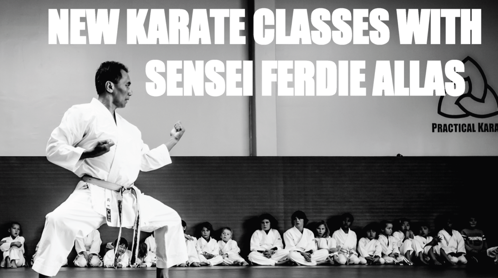 New karate classes 2